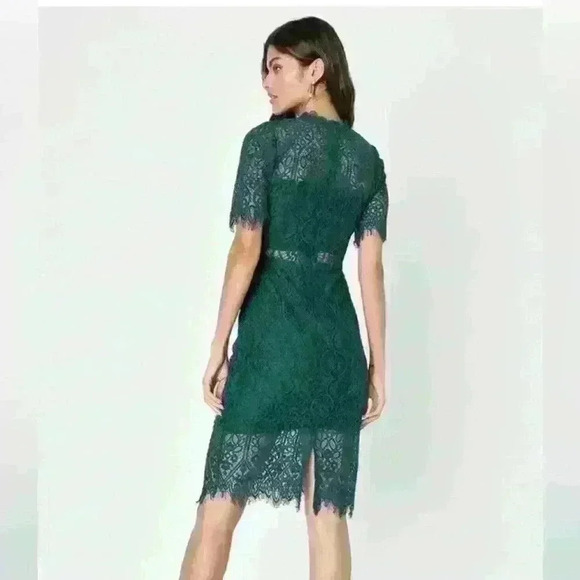 Remarkable Forest Green Sheer Lace Short Sleeve Mini Dress Size Small NWT - Picture 4 of 8